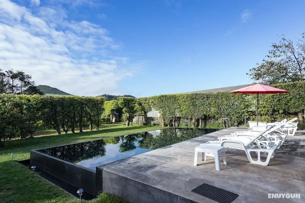 Quinta do Paraizo - Öne Çıkan Resim