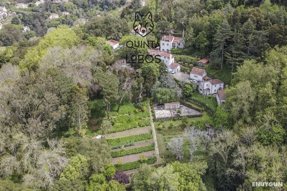 Quinta dos Lobos Boutique Hotel - Art & Nature Experience - Dış Mekan
