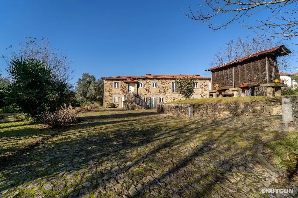 Quinta Eido Oliveira - Öne Çıkan Resim