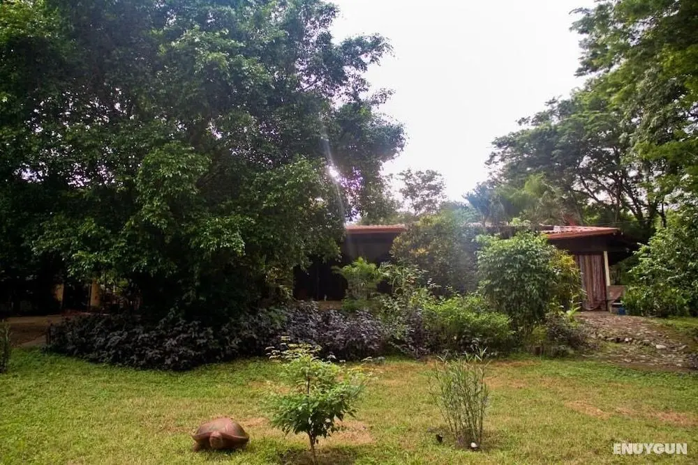 Quinta mi Tata B&B - Dış Mekan