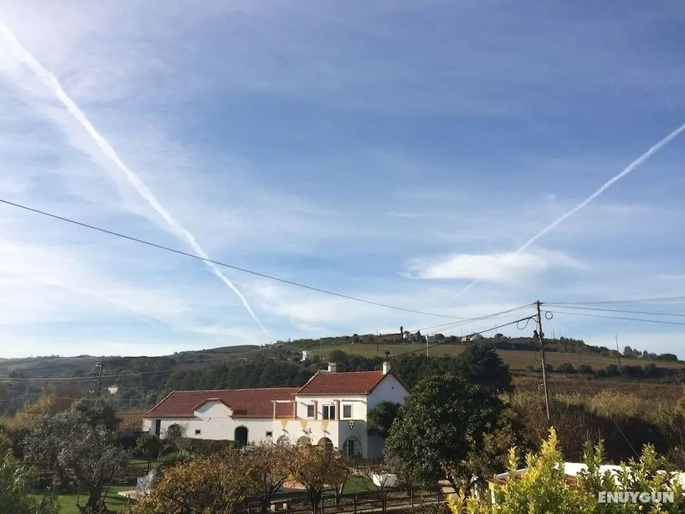 Quinta Ribeira do Labrador - Lisbon West Wine Route - Öne Çıkan Resim
