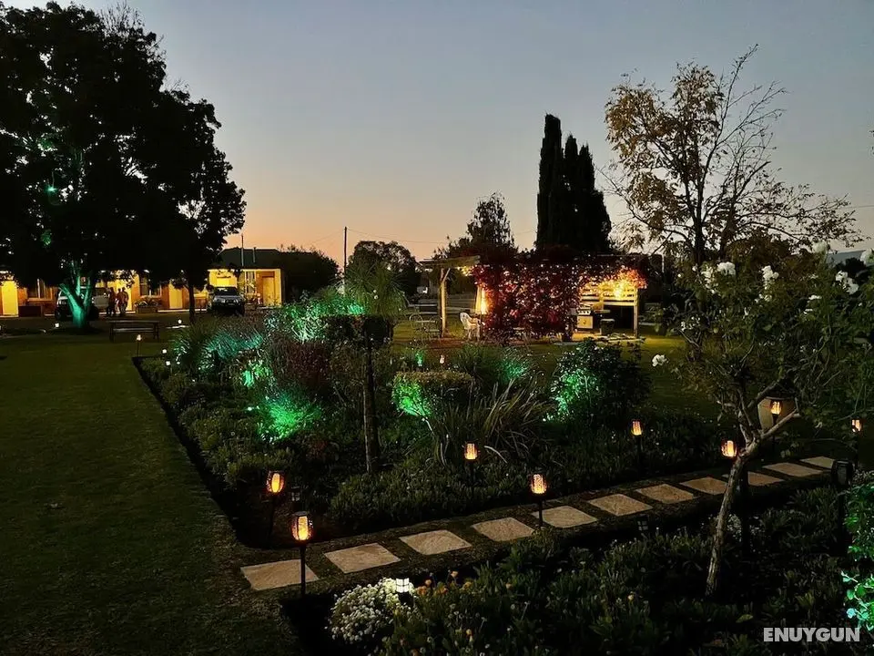 Quirindi Sunflower Motor Inn - Dış Mekanlar