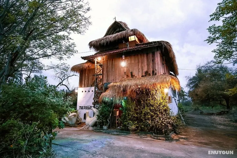 The Rabbit Tree - Hostel - Öne Çıkan Resim