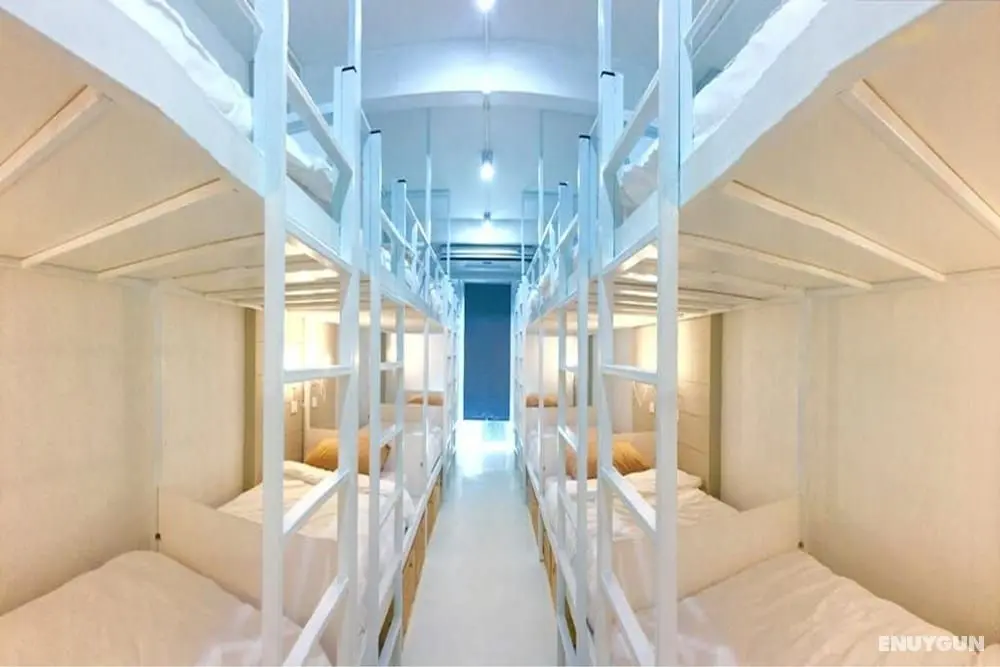 Rabbitat Hostel - Öne Çıkan Resim