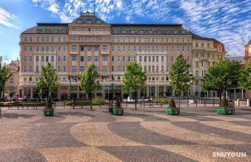 Radisson Blu Carlton - Genel