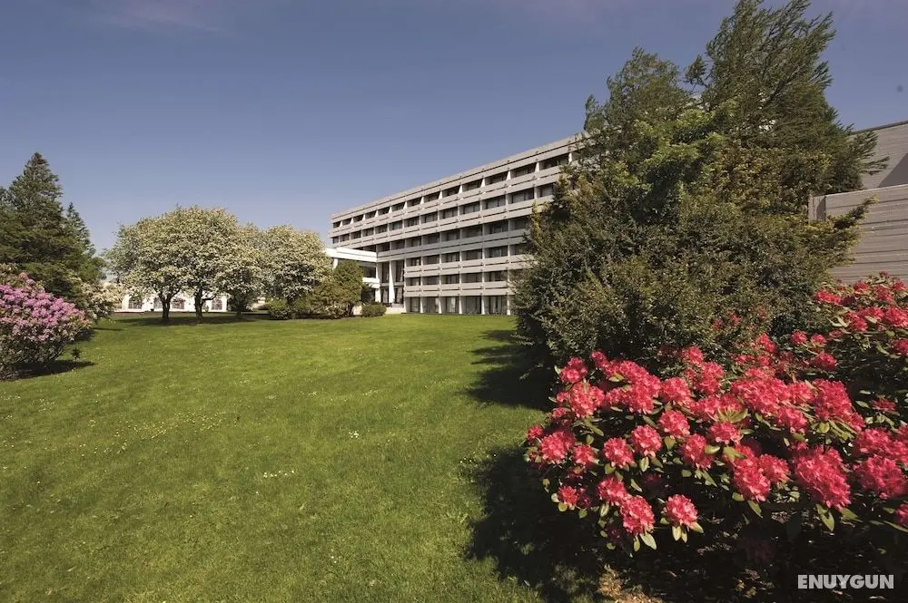 Radisson Blu Hotel Haugesund - Öne Çıkan Resim