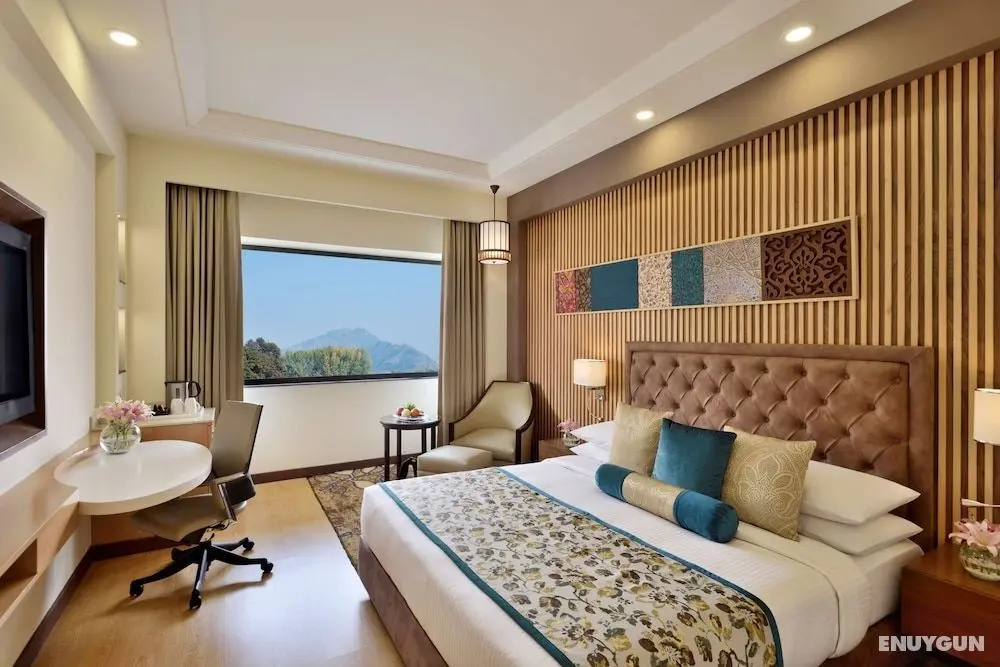 Radisson Srinagar - Öne Çıkan Resim