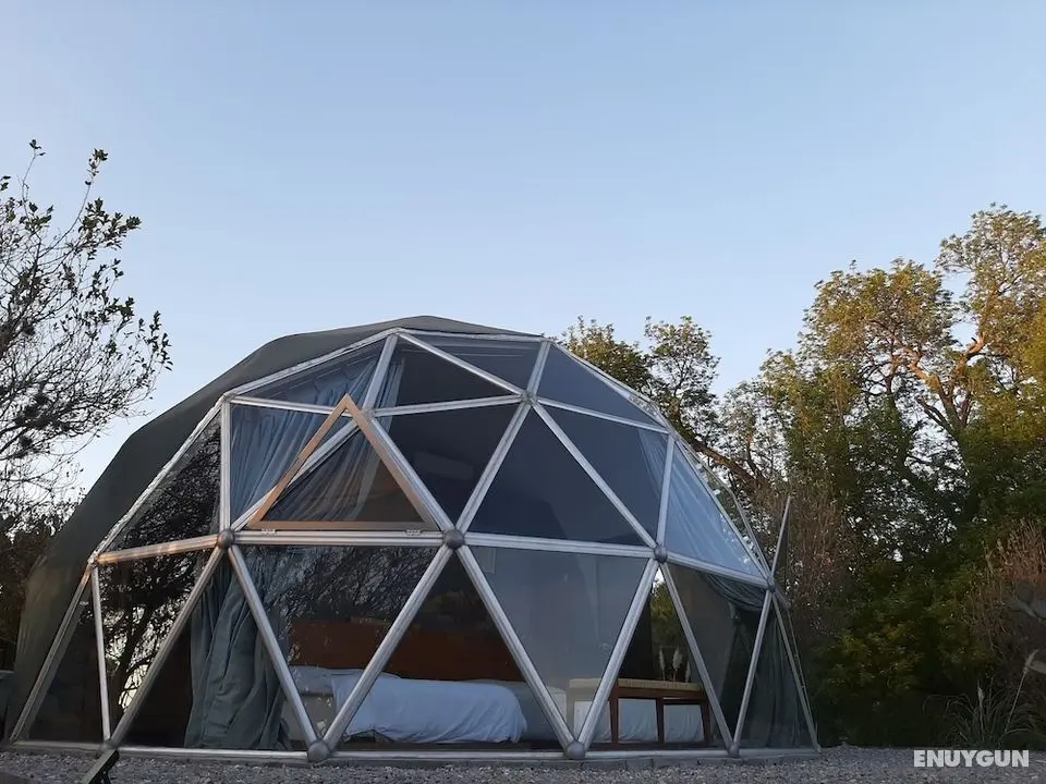 Raices Glamping - Oda
