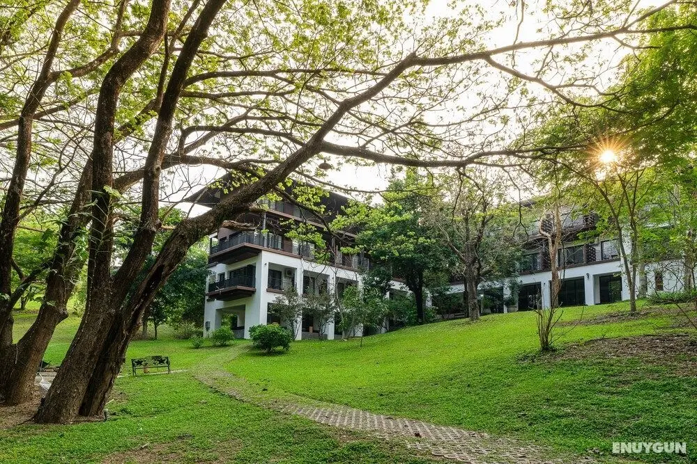 Rain Tree Residence Hotel - Öne Çıkan Resim