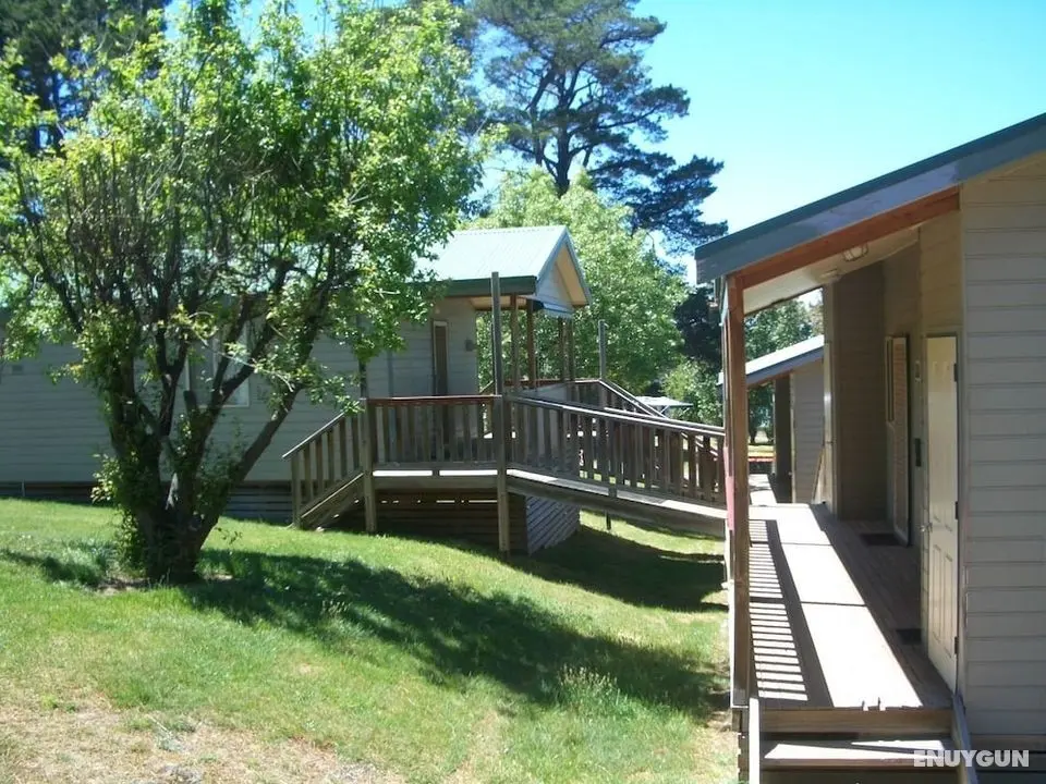 Rainbow Pines Tourist Caravan Park - Dış Mekan
