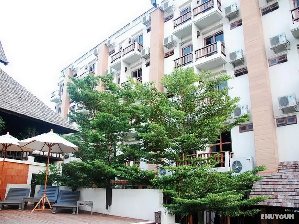 Rainforest ChiangMai Hotel - Genel