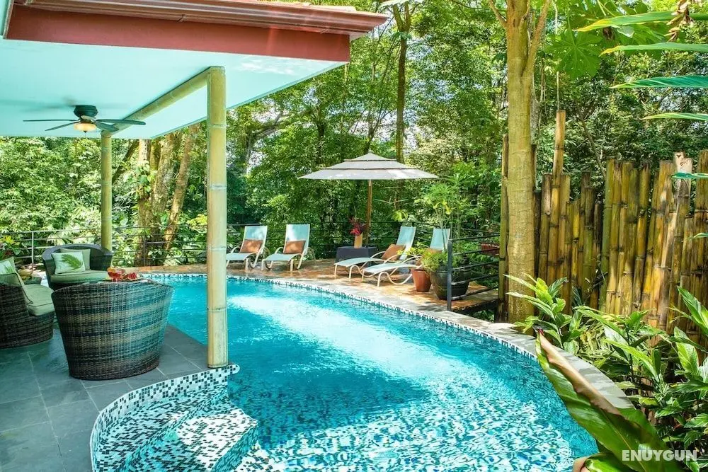 Rainforest Gem 2BR Aracari Villa With Private Pool AC Wi-fi - Oda
