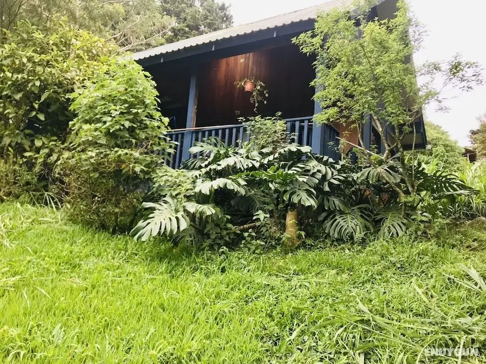 Rainy Days b&b - Öne Çıkan Resim