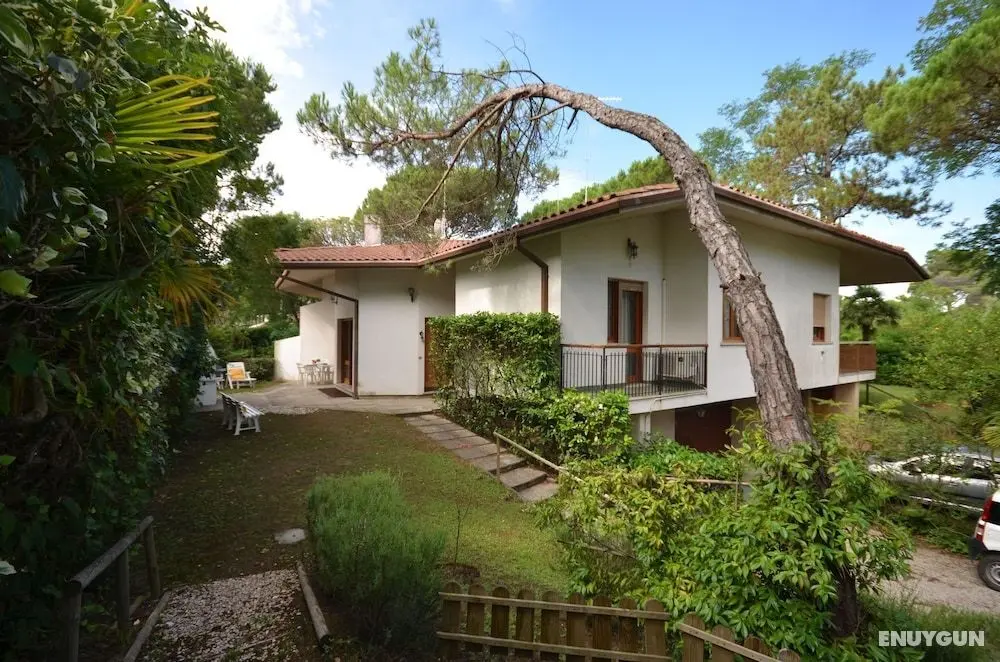 Villa Ralph - Öne Çıkan Resim