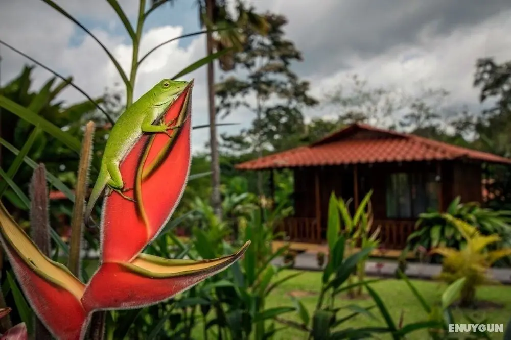 Hotel Rancho Cerro Azul - Öne Çıkan Resim