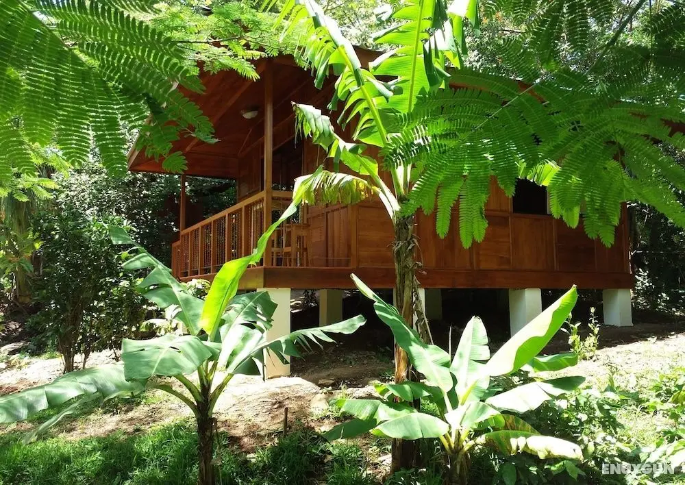 Rancho de Lelo Ecolodge & Sustainable Farm - Öne Çıkan Resim