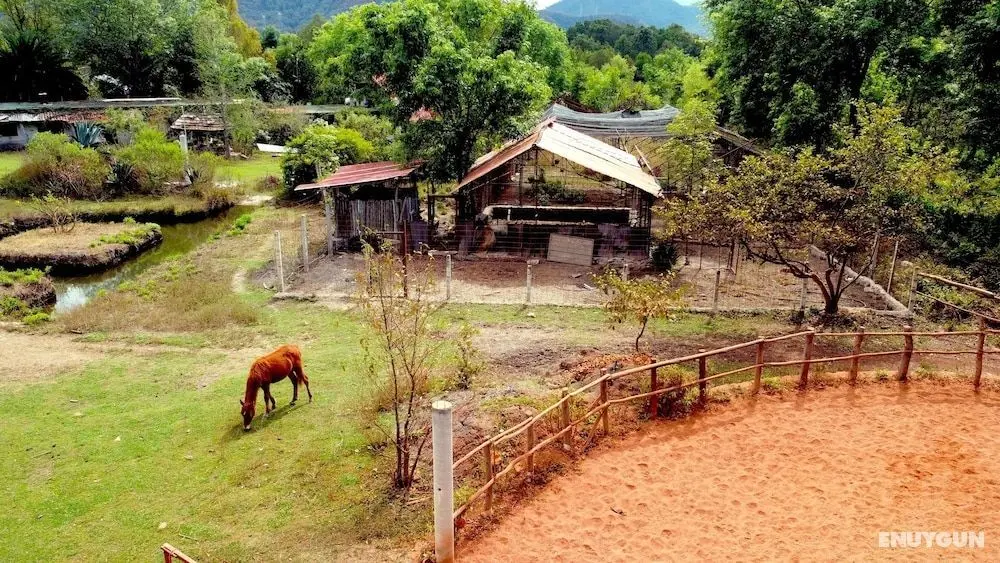 Rancho El Reencuentro Eco-Hotel - Dış Mekanlar
