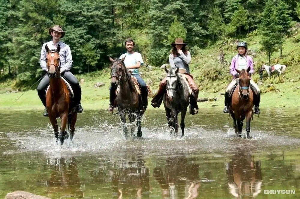 Rancho El Reencuentro Eco-Hotel - Öne Çıkan Resim