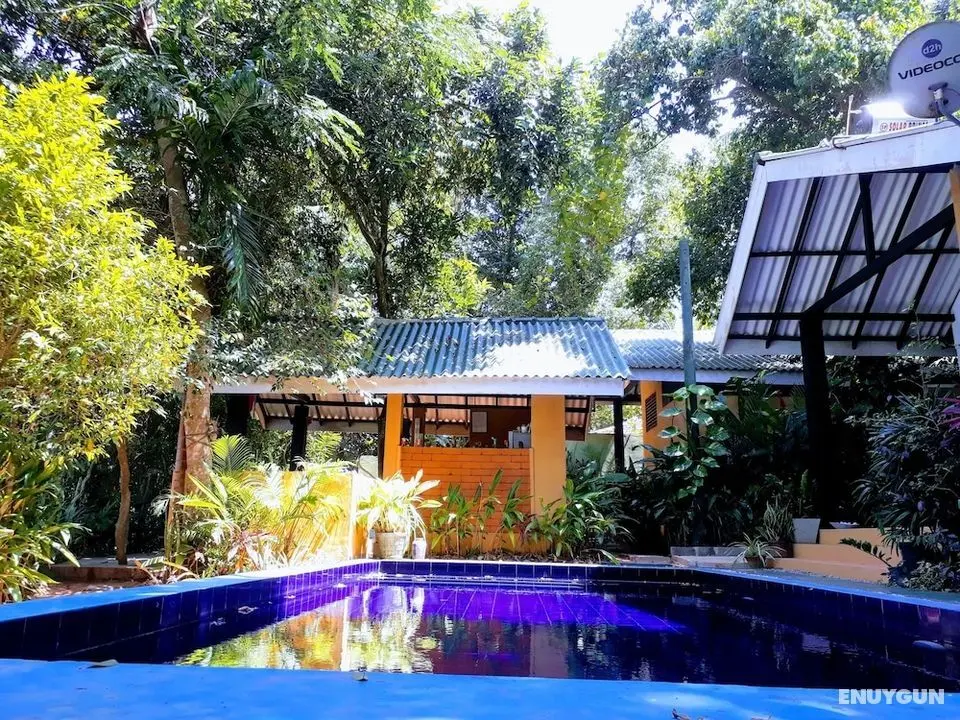 Randoni Villa - Havuz