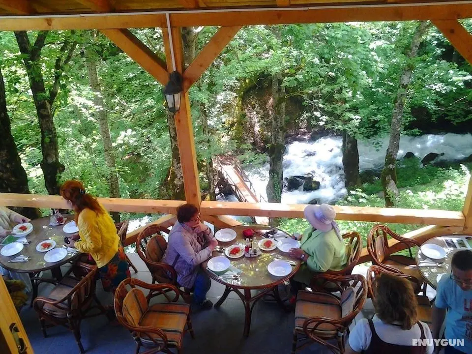 Ravnjak Hotel at Tara Springs Park - Öne Çıkan Resim