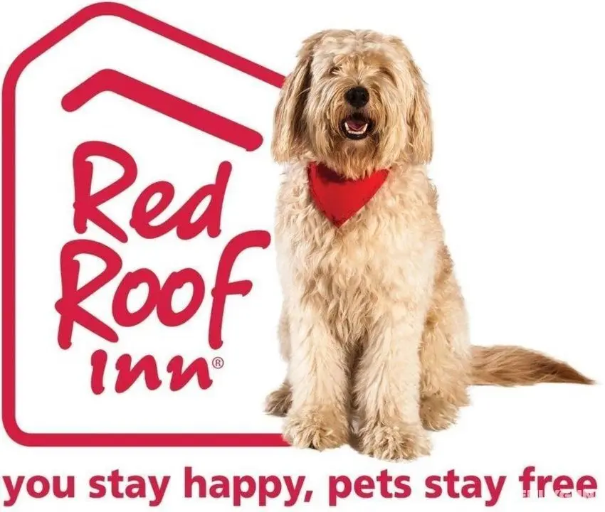 Red Roof Inn Ontario Airport - Genel