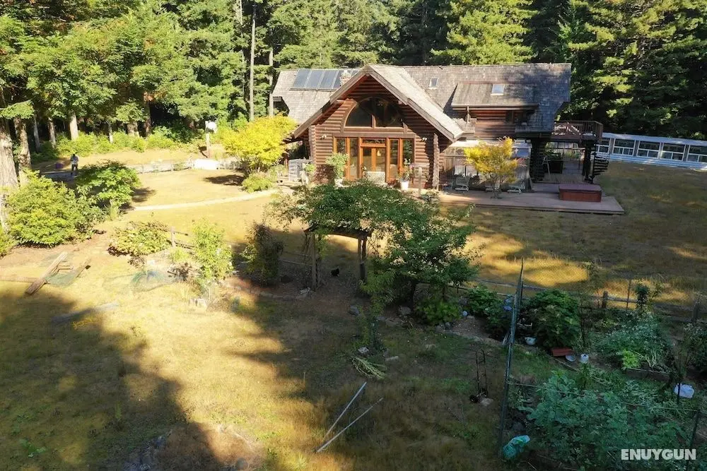 Redwood Log Cabin - Dış Mekan