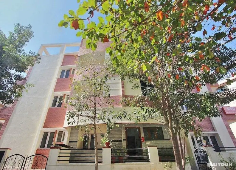 Redwood Suites - Dış Mekan