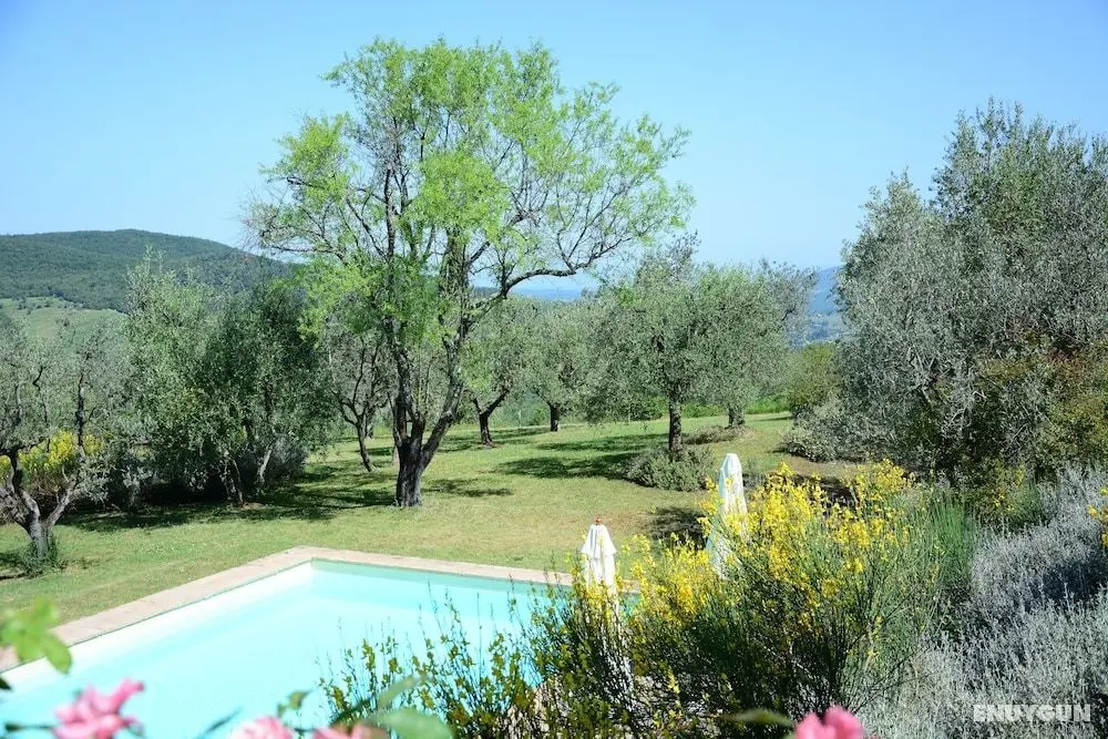 Relais Fattoria Valle - Havuz