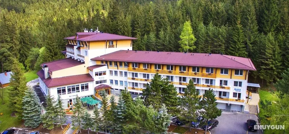 Relax Hotel Avena - Öne Çıkan Resim