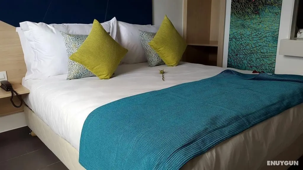 Relax Hotel Kenitra - Genel
