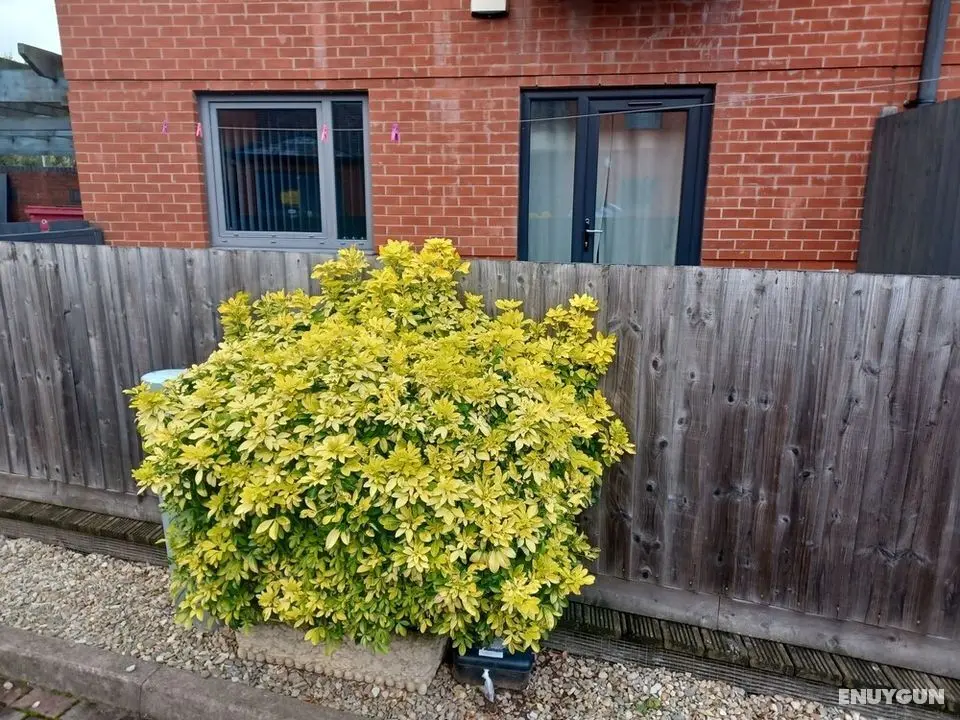 Remarkable 2-bed Apartment in Wolverhampton - Dış Mekan