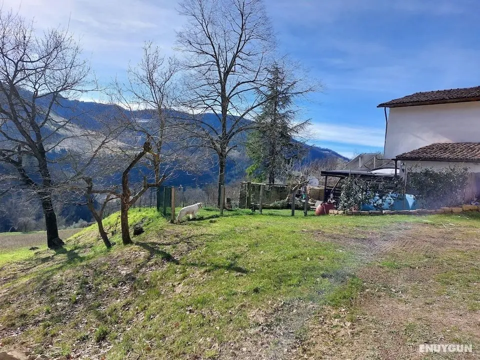 Remarkable 3-bed Cottage in Tortola - Öne Çıkan Resim