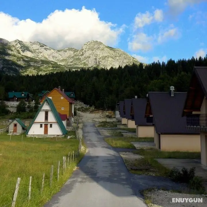 Remarkable 3-bed House in Zabljak - Oda Manzaraları