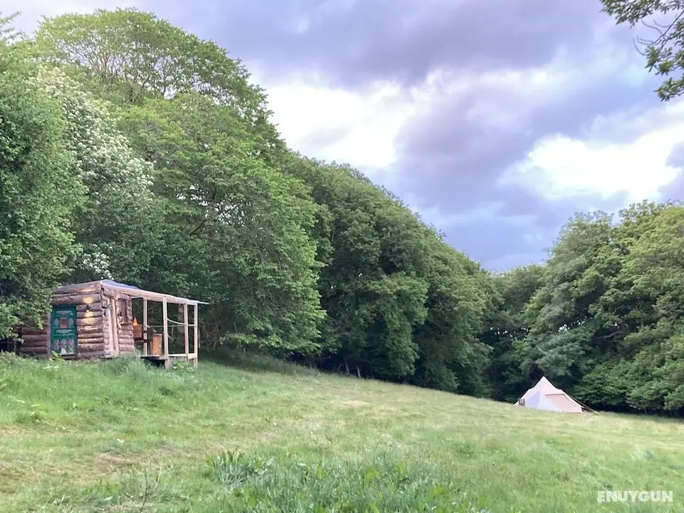 Remote Cabin & Giant Tents Experience Nature - Öne Çıkan Resim
