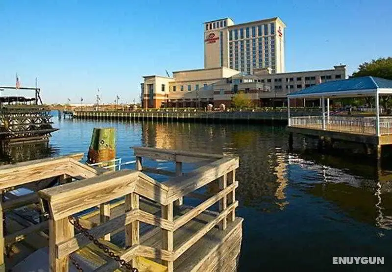 Renaissance Portsmouth-Norfolk Waterfront Hotel - Genel