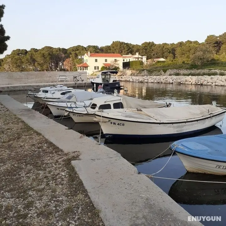 Renatare - Close to the sea With Parking - A1 - Öne Çıkan Resim