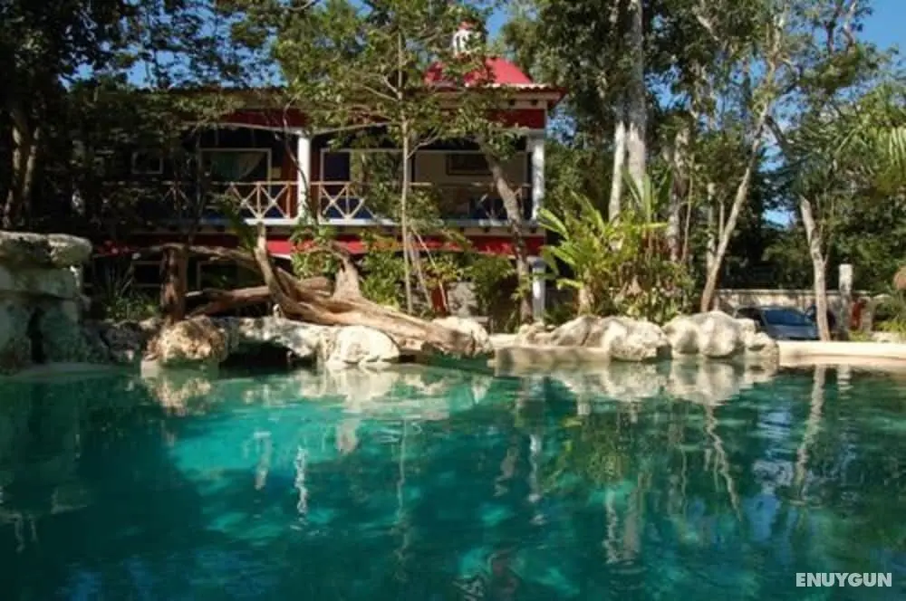Reserva Ecologica Hacienda Cancun - Öne Çıkan Resim