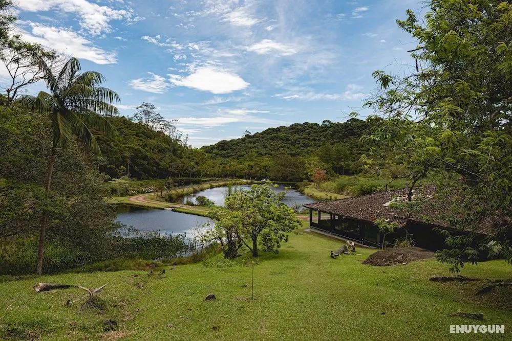Reserva Mata Grande - Nature Park - Dış Mekan