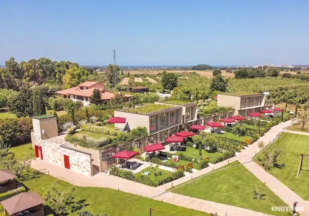 Residence a Vada con piscina - Dış Mekan