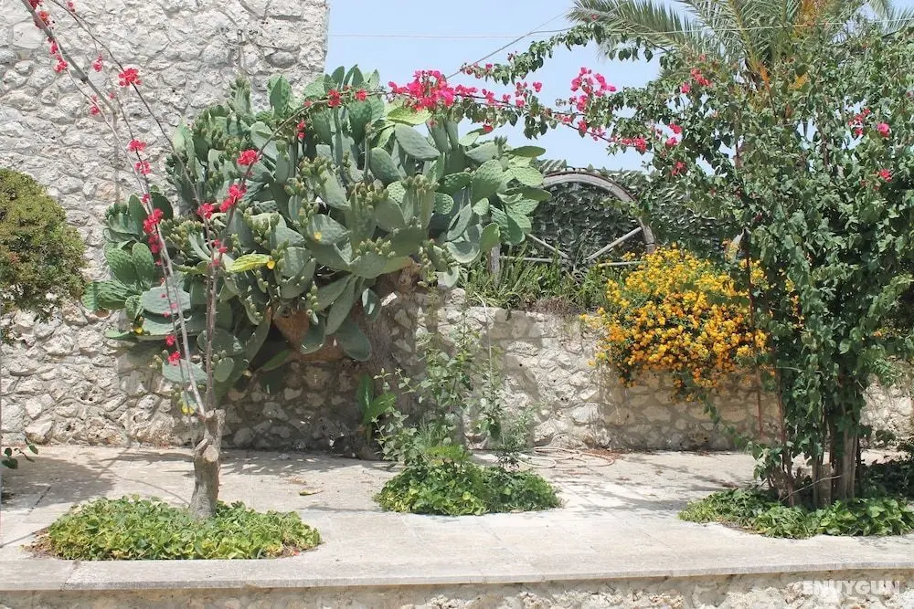 Residence Conchiglia San Giovanni - Dış Mekan