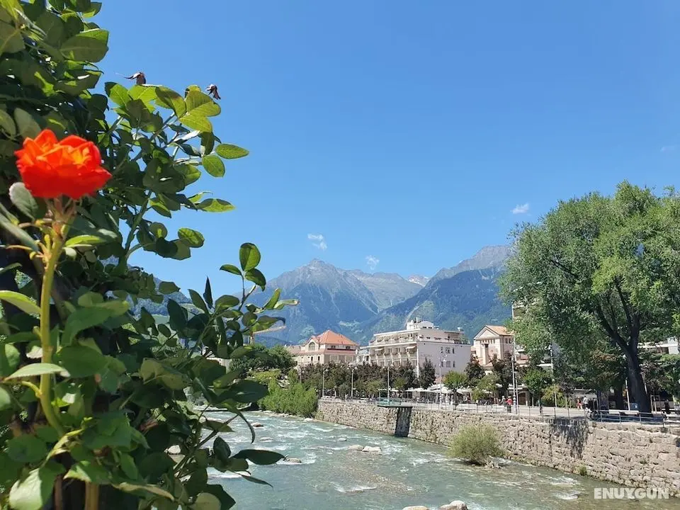 Residence Diana - İlgi Noktası