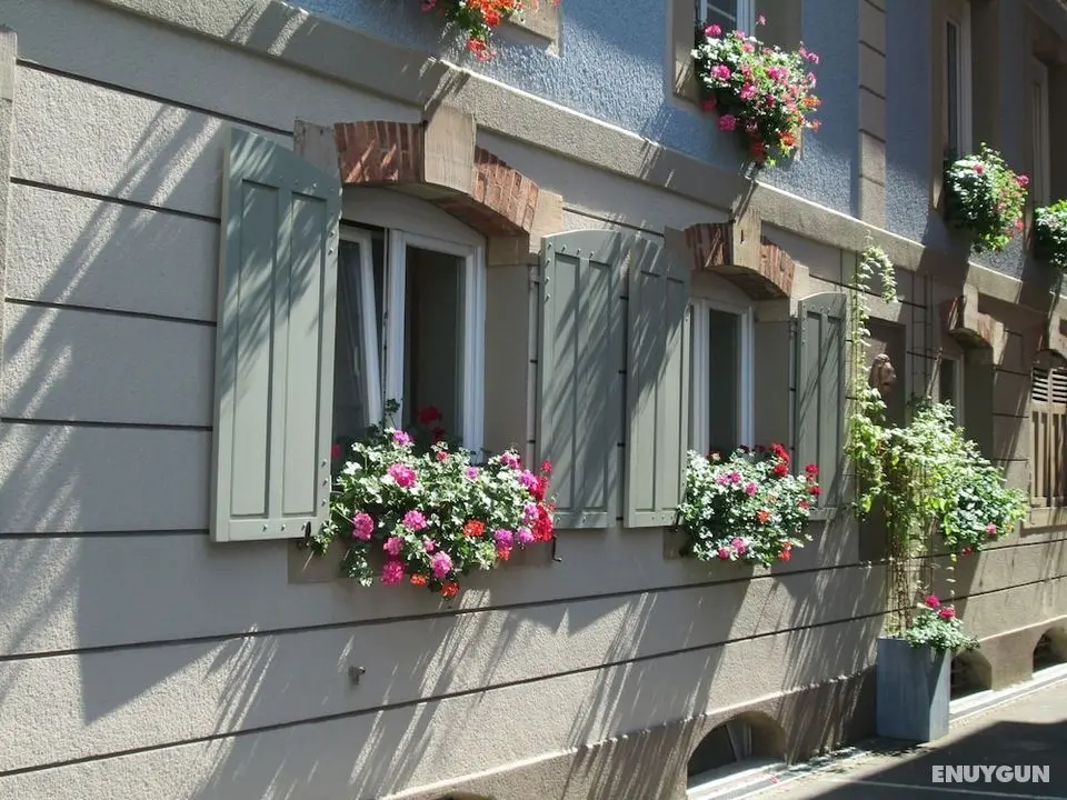 Residence du Parc - Dış Mekan