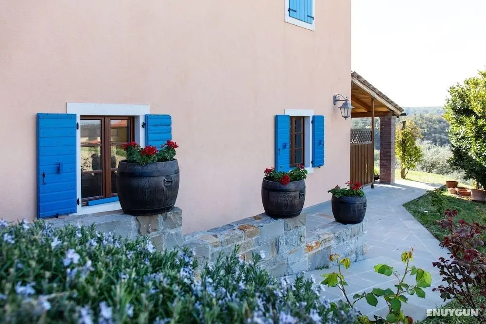 Residence Gold Istra - Dış Mekan