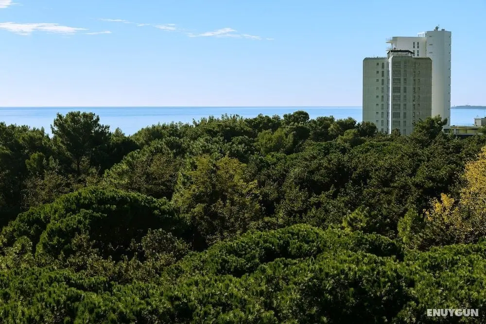 Residence Luna - Tipo B - Oda Manzaraları