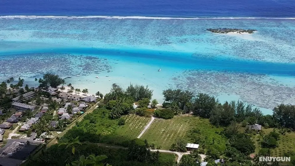 Residence Moorea Sunset Beach - Öne Çıkan Resim