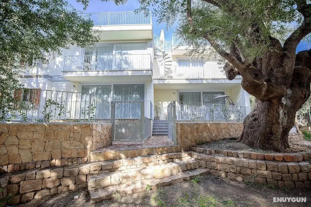 Residence Olivastro Vista Mare - Öne Çıkan Resim