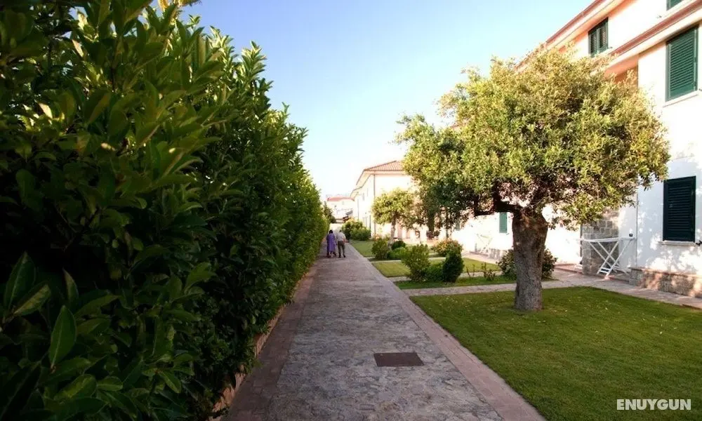 Residence Oliveto a Mare - Dış Mekan