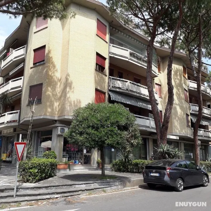 The Residence of the Ronchi - Dış Mekan