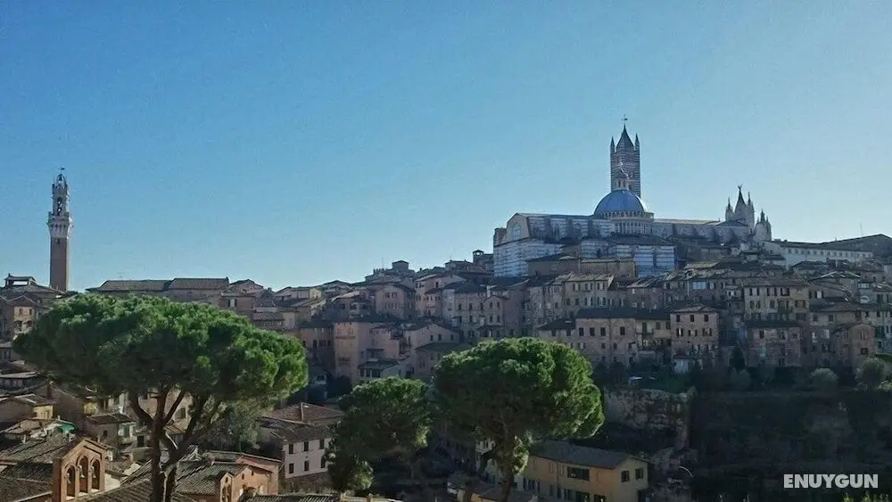 Residenza San Domenico - Oda Manzaraları