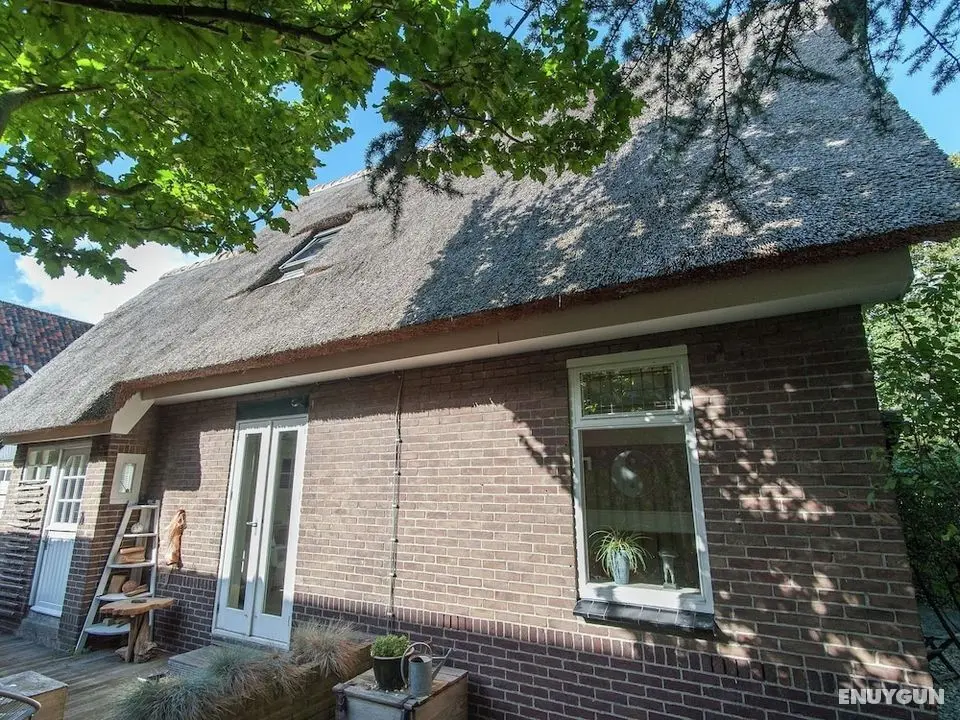Restful Holiday Home in Bergen on a Dutch Coast - Öne Çıkan Resim